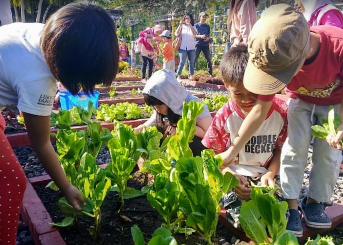 Anak-anak memanen wortel