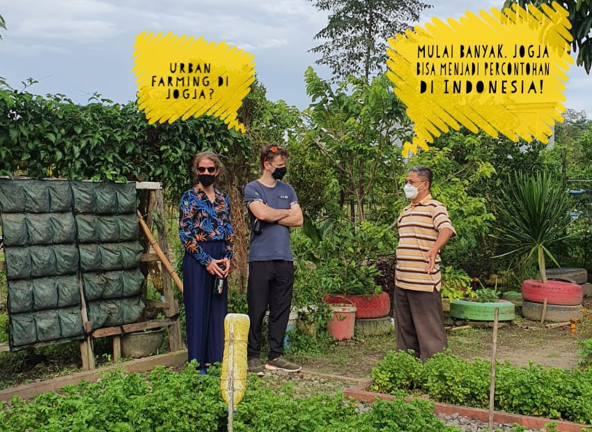 Suasana kebun vertikultur