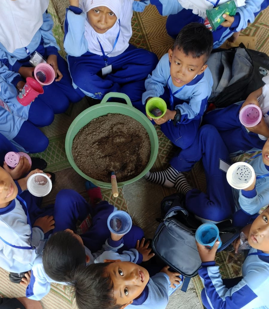 Memberi makan kelinci