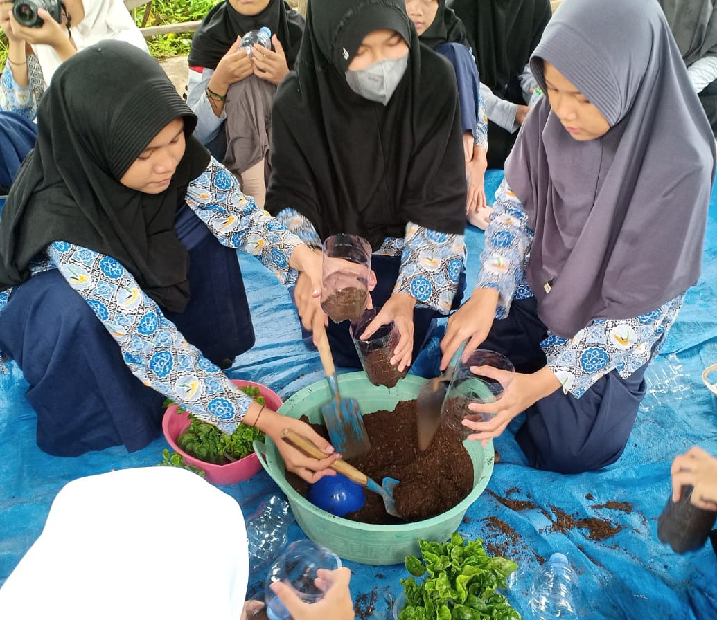 Memberi makan kelinci