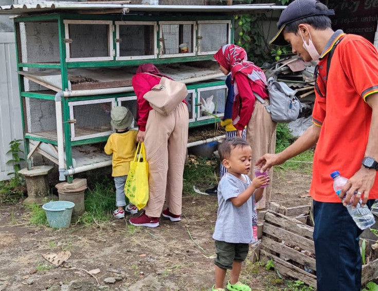 Memberi makan kelinci