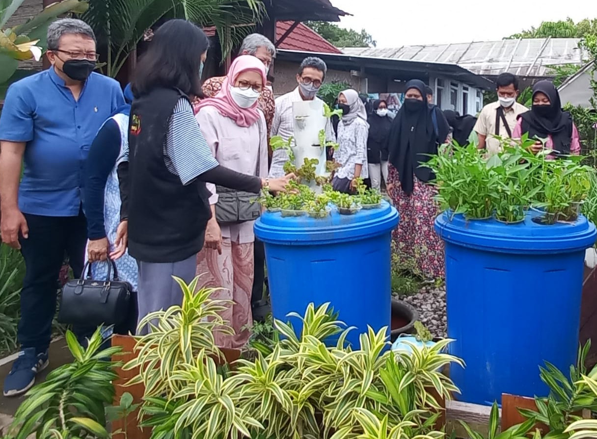 Praktik menanam di polybag